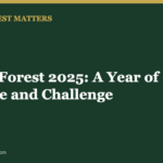 Wake Forest 2025: A Year of Change and Challenge - Wake Forest Matters